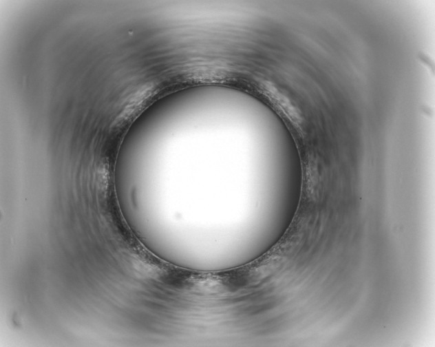 X0000093750113200710301132