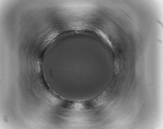 X0000093750114200710301132