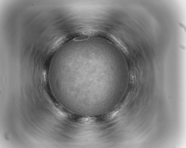 X0000093750117200710301132