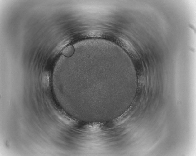 X0000093750120200710301132