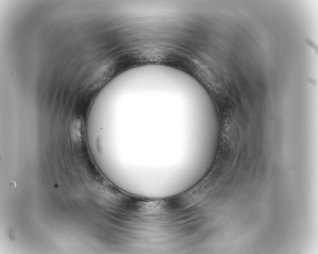 X0000093750122200710301132