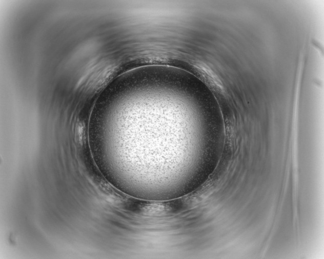 X0000093750123200710301132