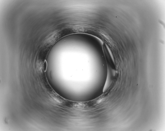 X0000093750125200710301132