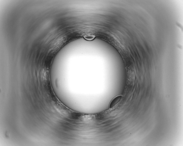 X0000093750126200710301132