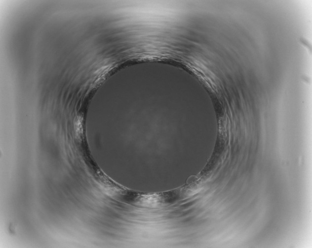 X0000093750127200710301132
