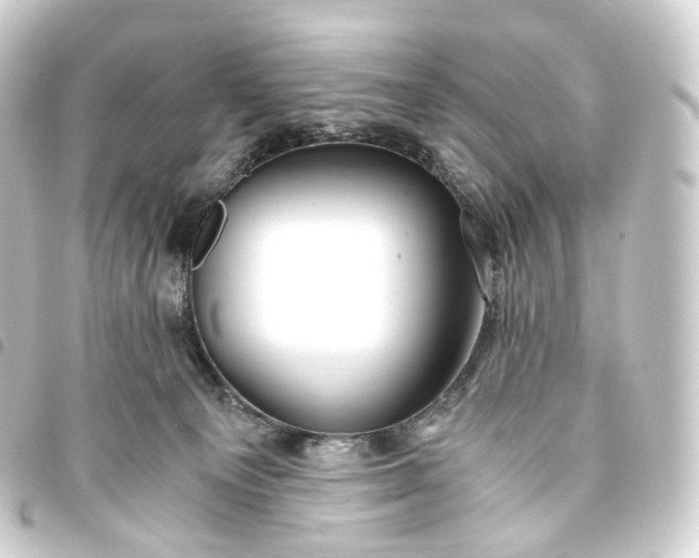 X0000093750129200710301132