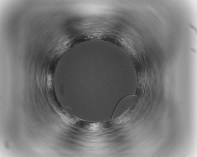 X0000093750130200710301132