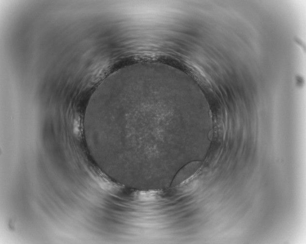 X0000093750134200710301132