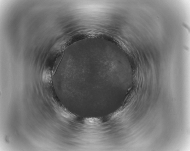 X0000093750137200710301132
