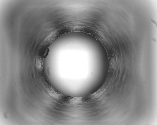 X0000093750138200710301132