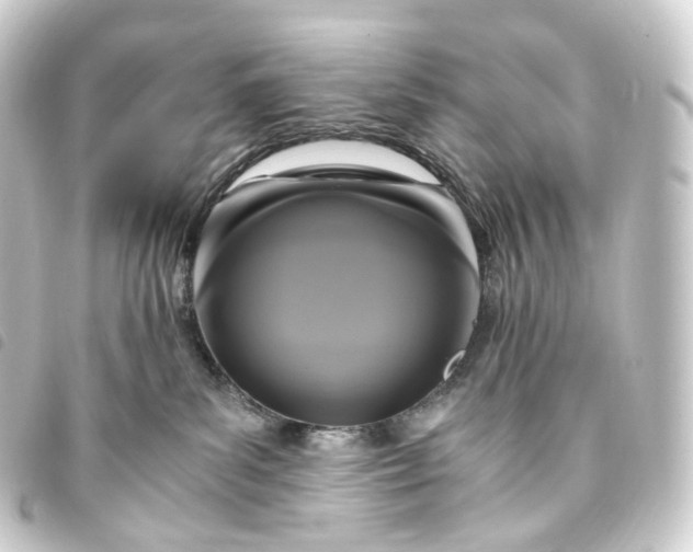 X0000093750139200710301132