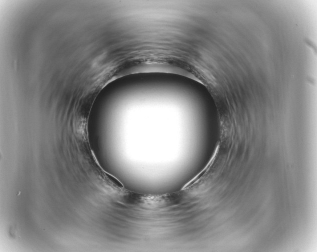 X0000093750141200710301132