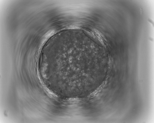 X0000093750145200710301131