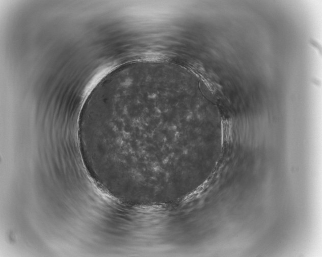 X0000093750147200710301131