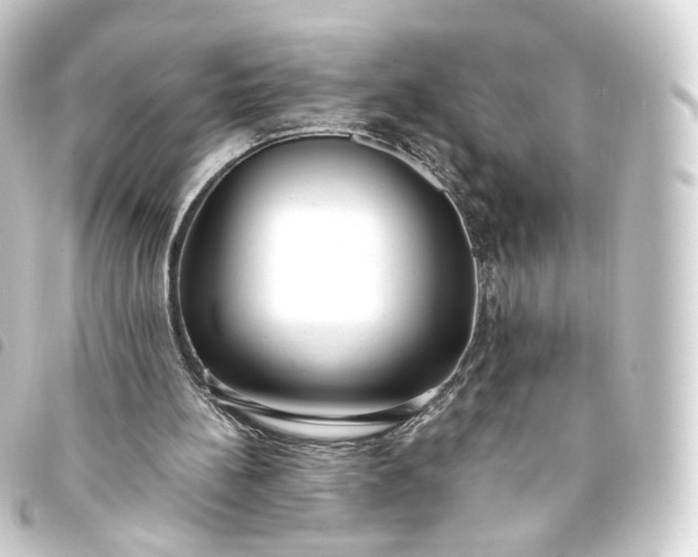 X0000093750148200710301131