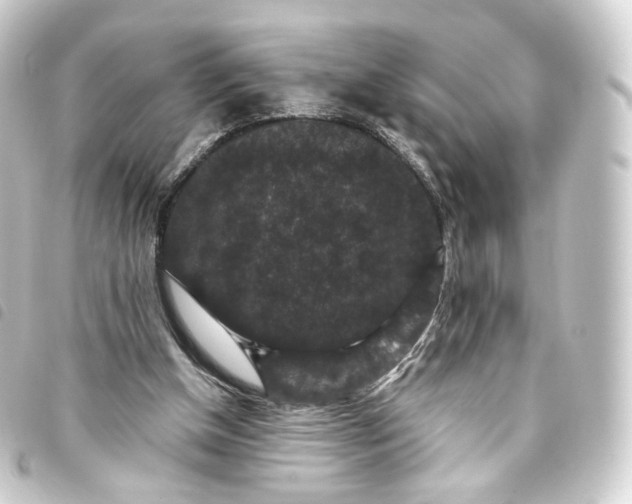 X0000093750154200710301131