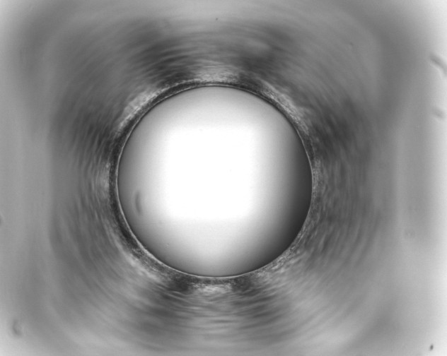 X0000093750155200710301131