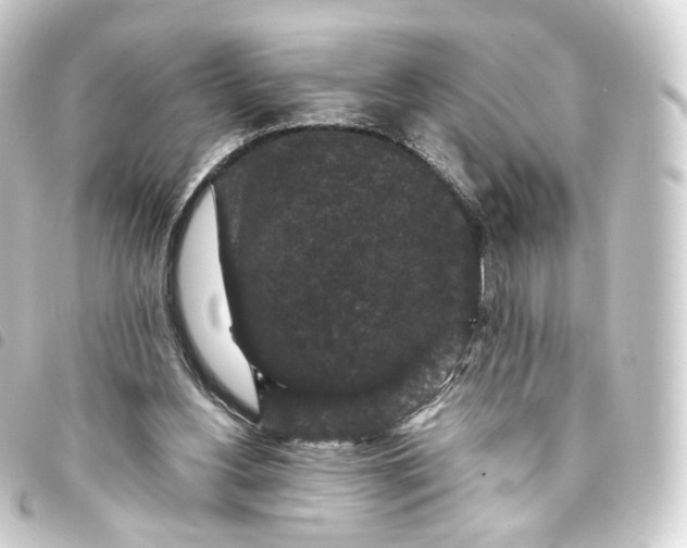X0000093750156200710301131