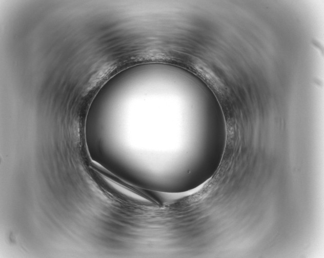 X0000093750158200710301131
