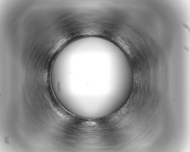 X0000093750159200710301131