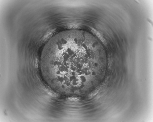 X0000093750161200710301131