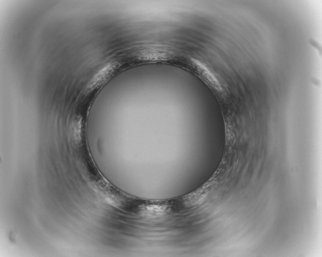 X0000093750163200710301131