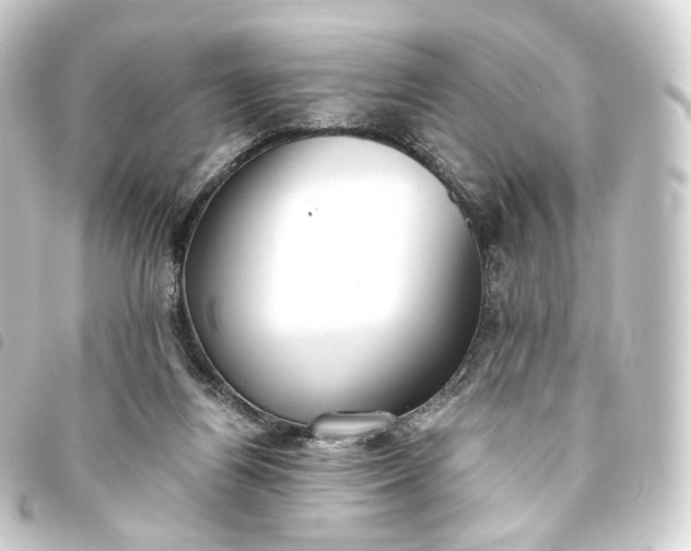 X0000093750164200710301131