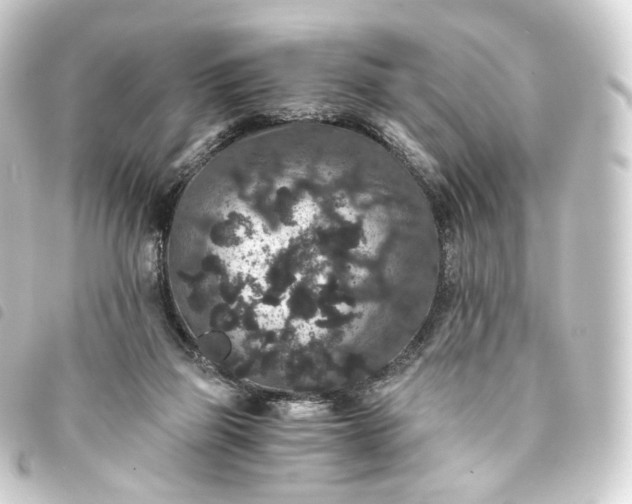 X0000093750165200710301131