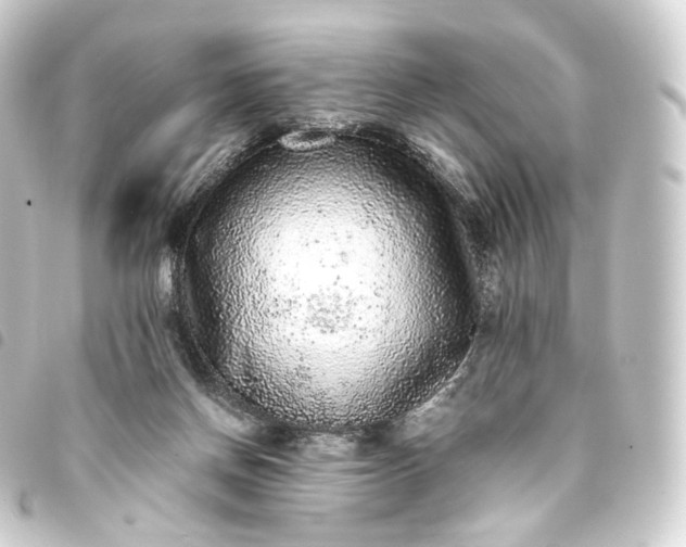 X0000093750166200710301131