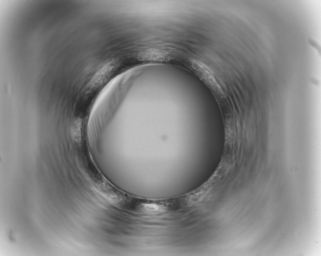 X0000093750167200710301131