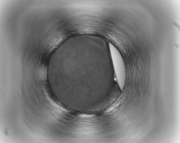 X0000093750168200710301131