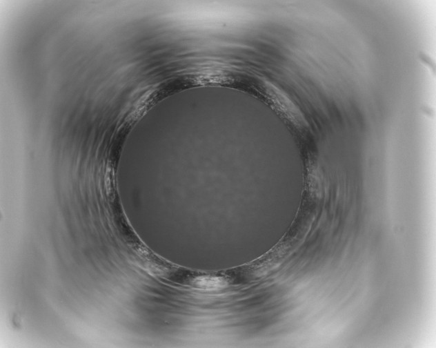 X0000093750169200710301131