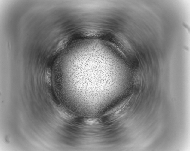 X0000093750175200710301131