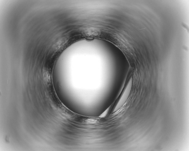 X0000093750176200710301131