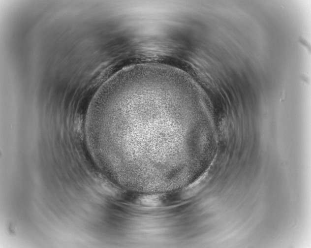 X0000093750178200710301131