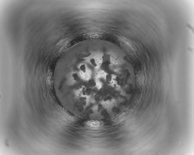 X0000093750181200710301132