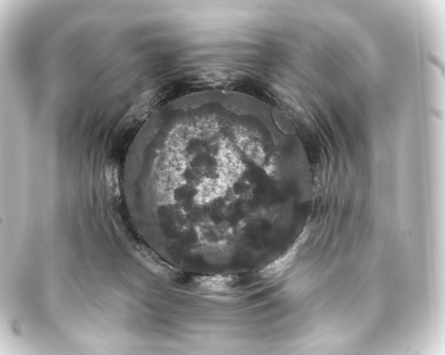 X0000093750182200710301132