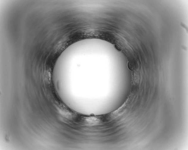 X0000093750183200710301132