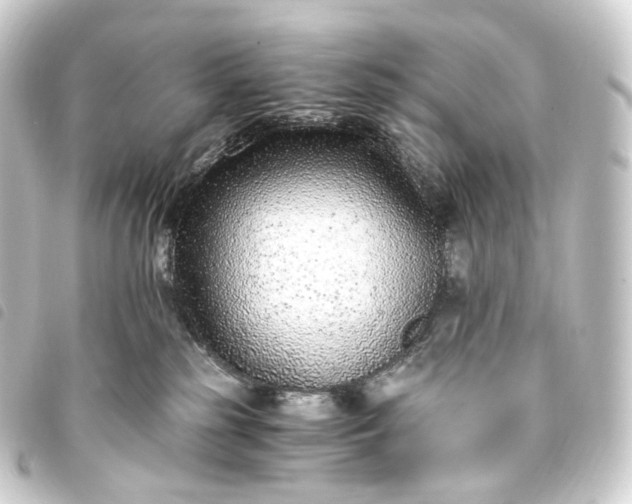 X0000093750185200710301132