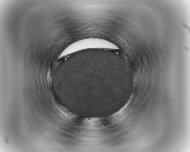 X0000093750186200710301132