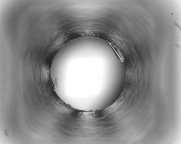 X0000093750188200710301132