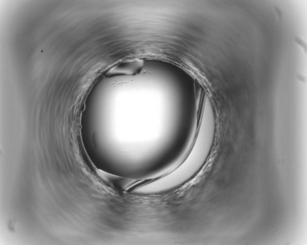 X0000093750193200710301131