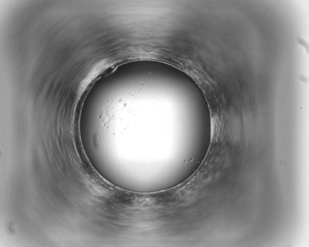 X0000093750195200710301131