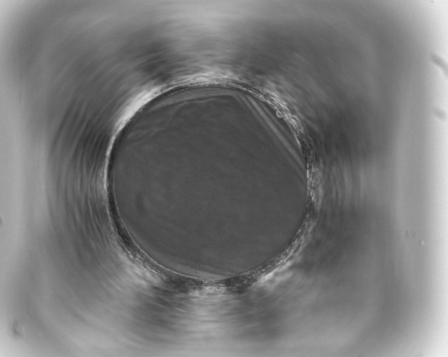 X0000093750196200710301131
