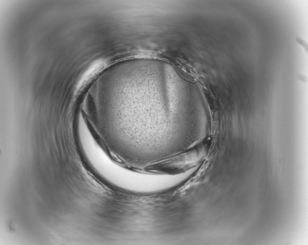 X0000093750197200710301131