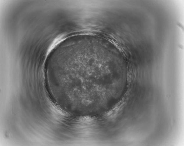 X0000093750198200710301131