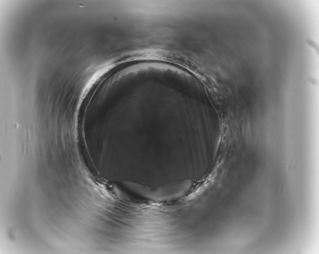 X0000093750200200710301131