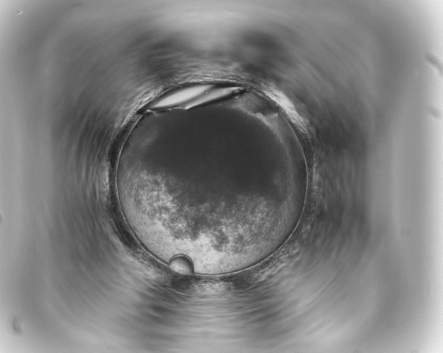 X0000093750202200710301131