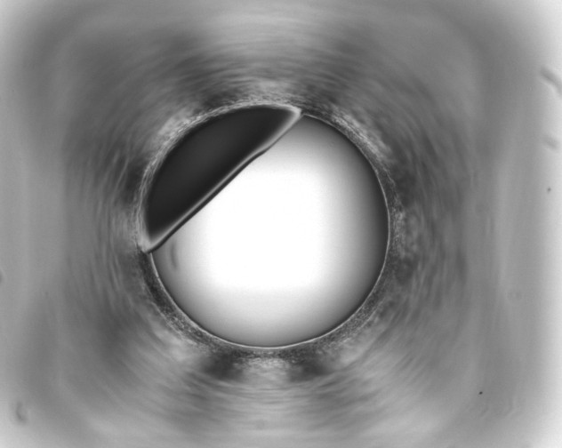 X0000093750203200710301131