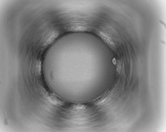 X0000093750206200710301131